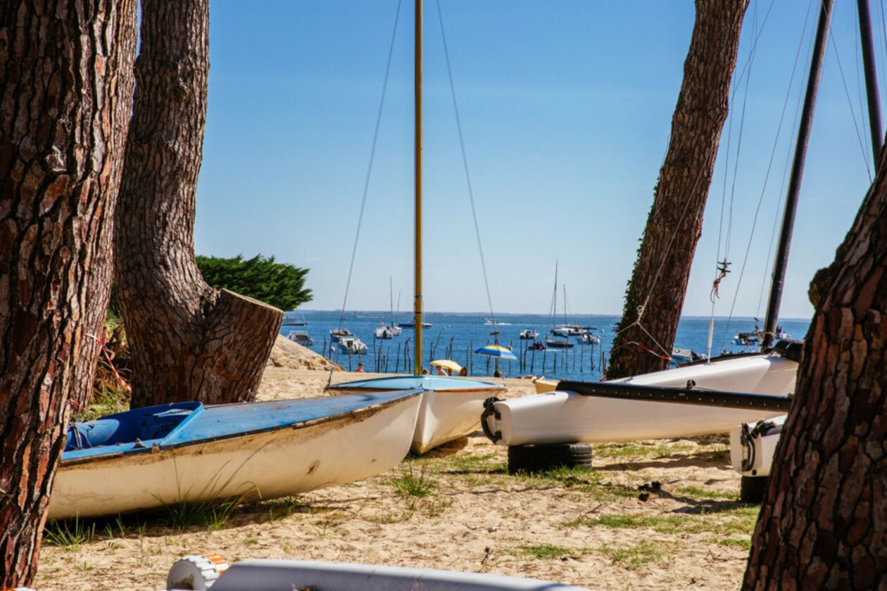 On adore les bateaux au millieu des pins près des plages du Cap Ferret !