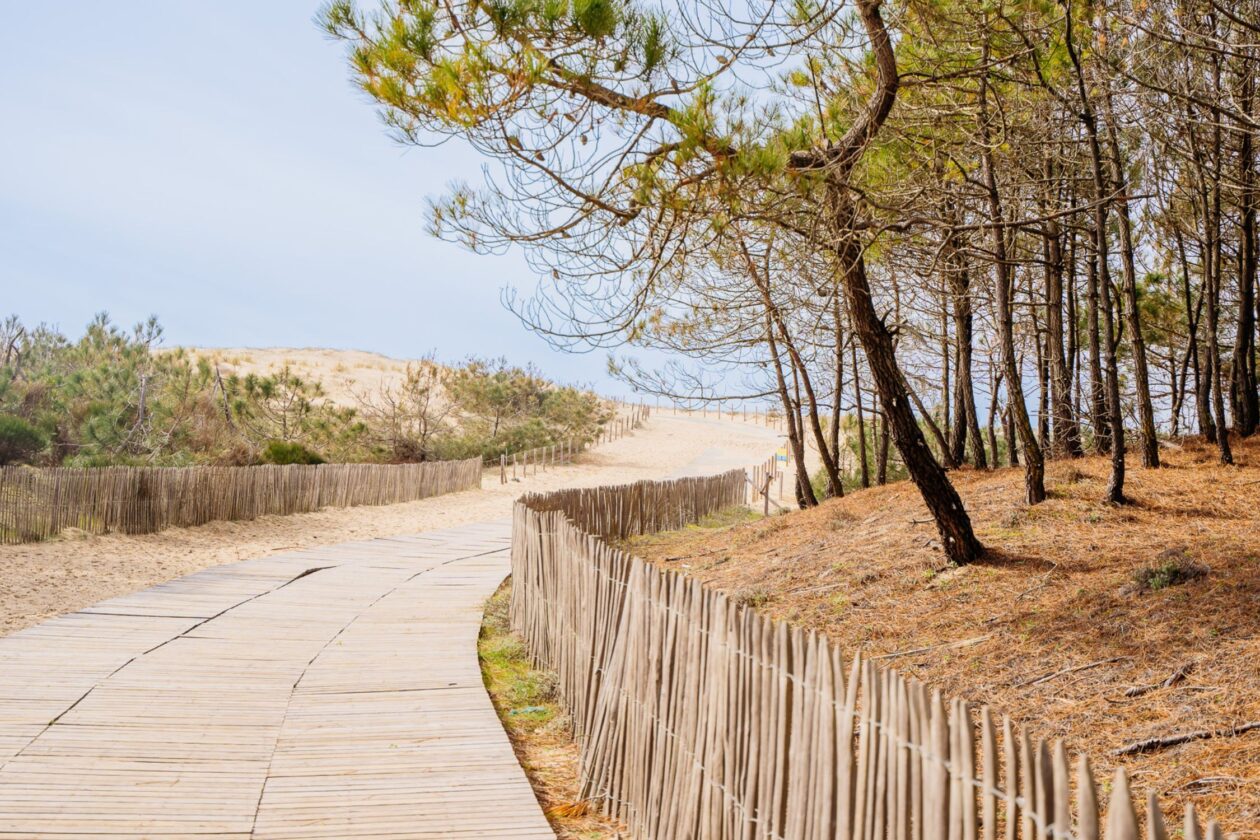 Profitez de l'ombre des arbres pour vous rendre à la plage du Truc Vert.