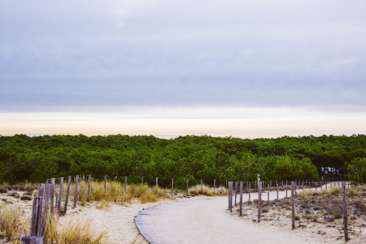 La plage du Grand Cohot, derrière sa dune, vaut le coup d'œil !