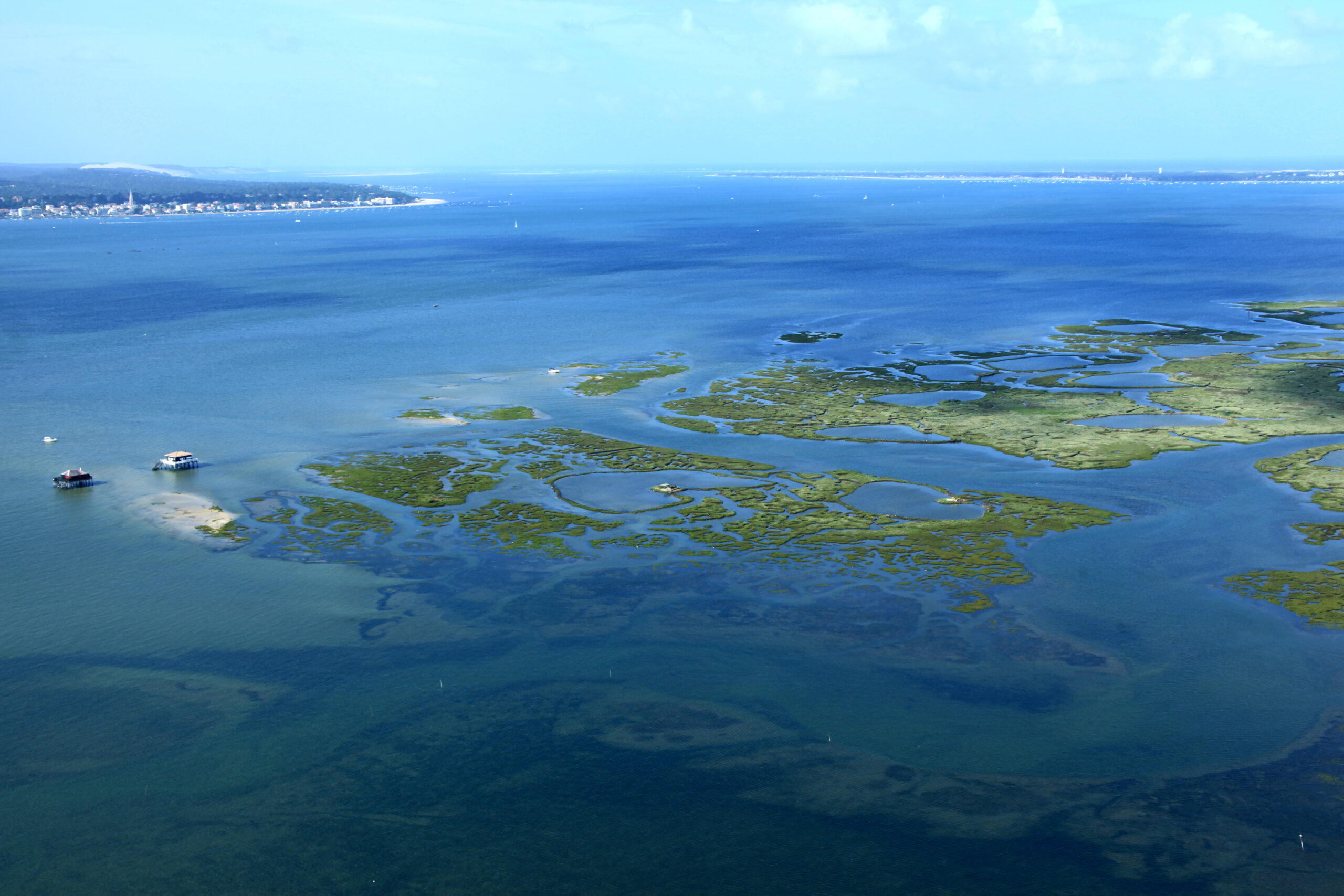 vue aérienne de l'Ile aux oiseaux.