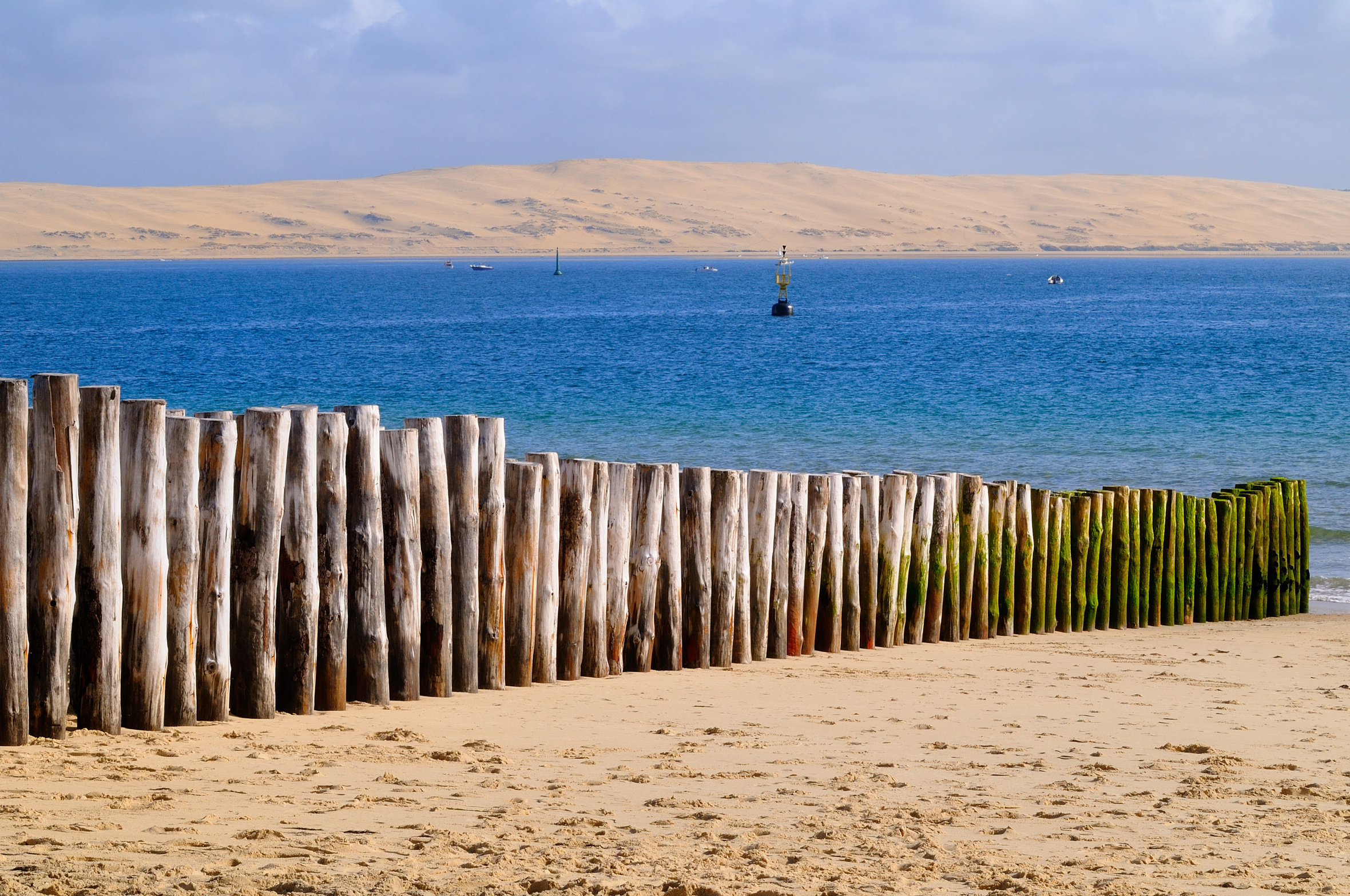 Vue du Bassin et de la Dune du Pilat en fond.