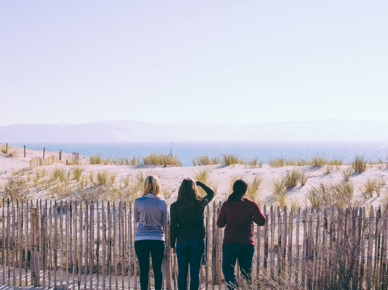 Sentier Abecedaire des dunes