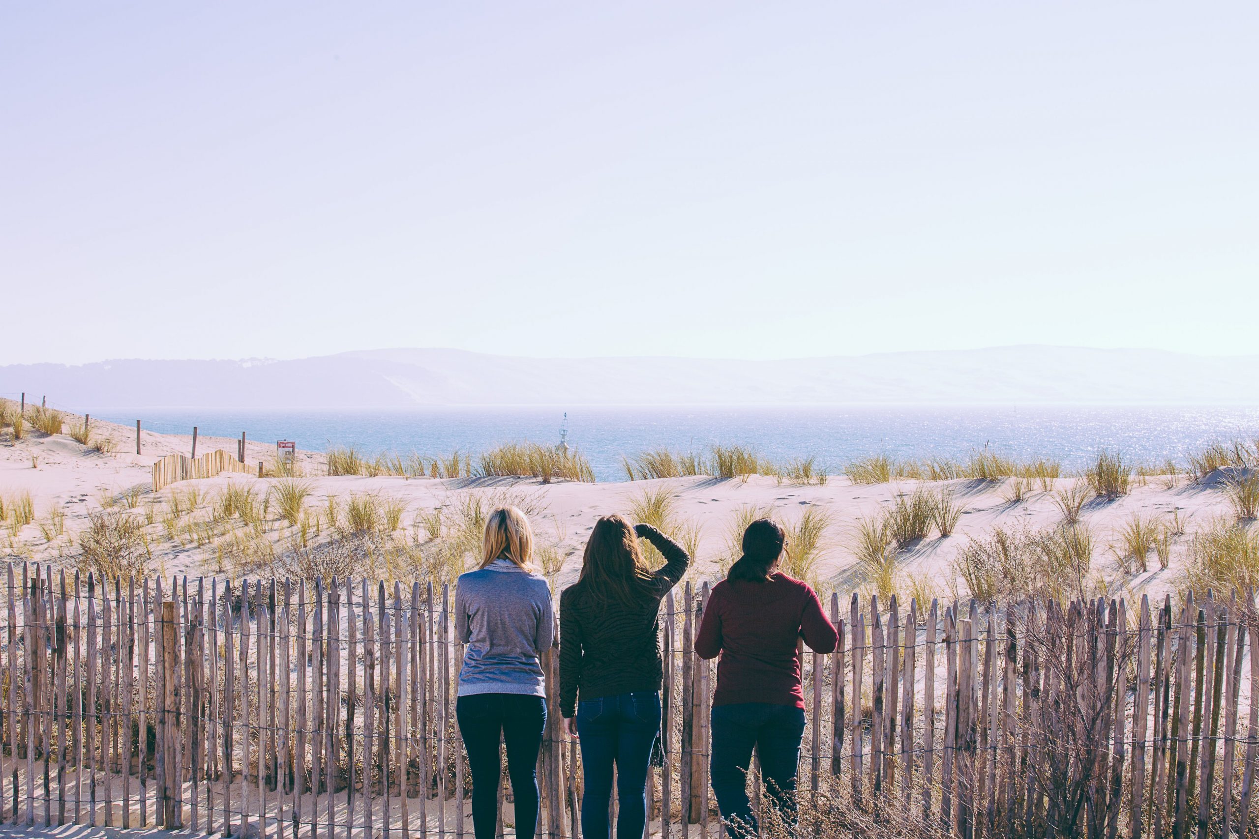 Sentier Abecedaire des dunes