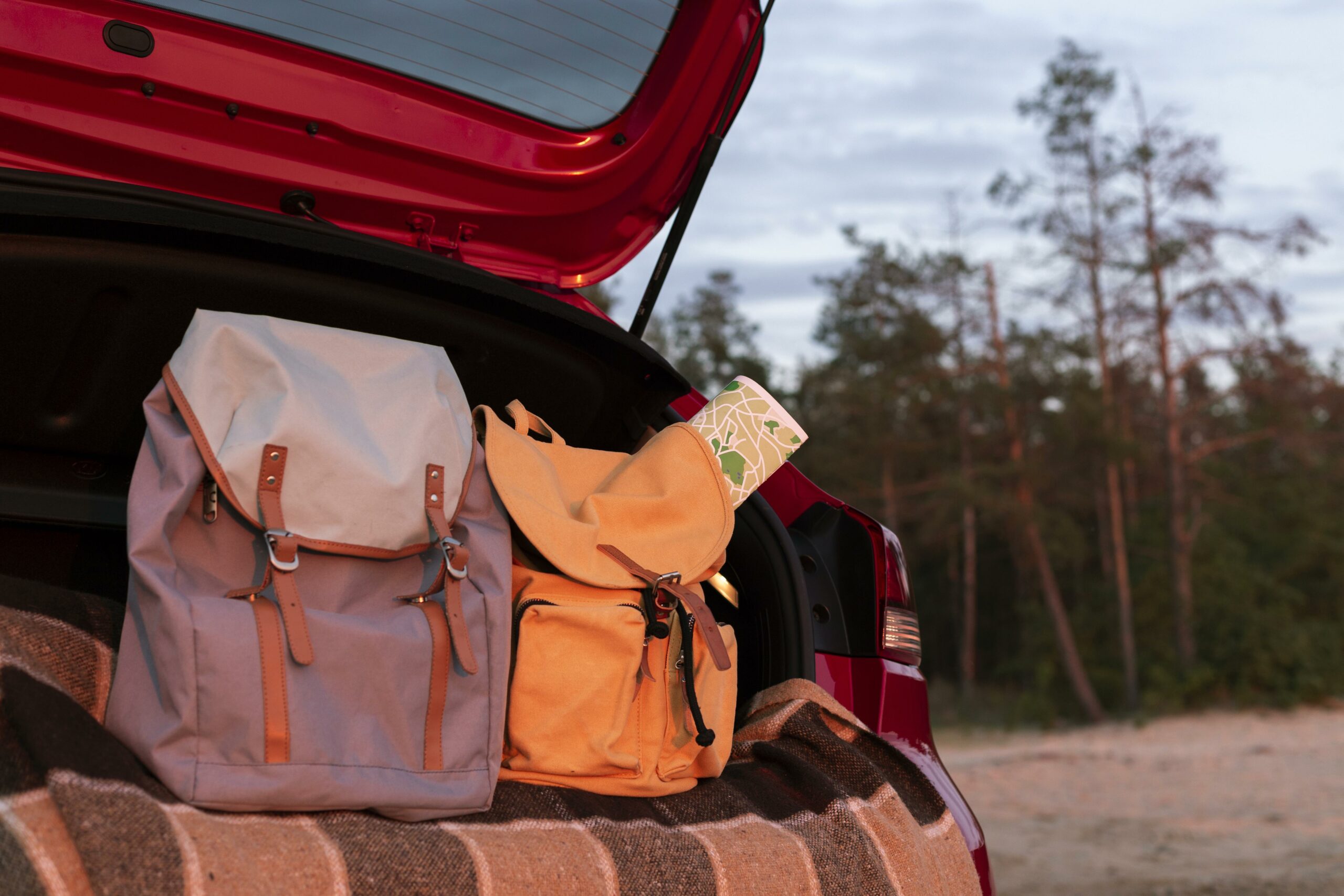 Couple backpacks