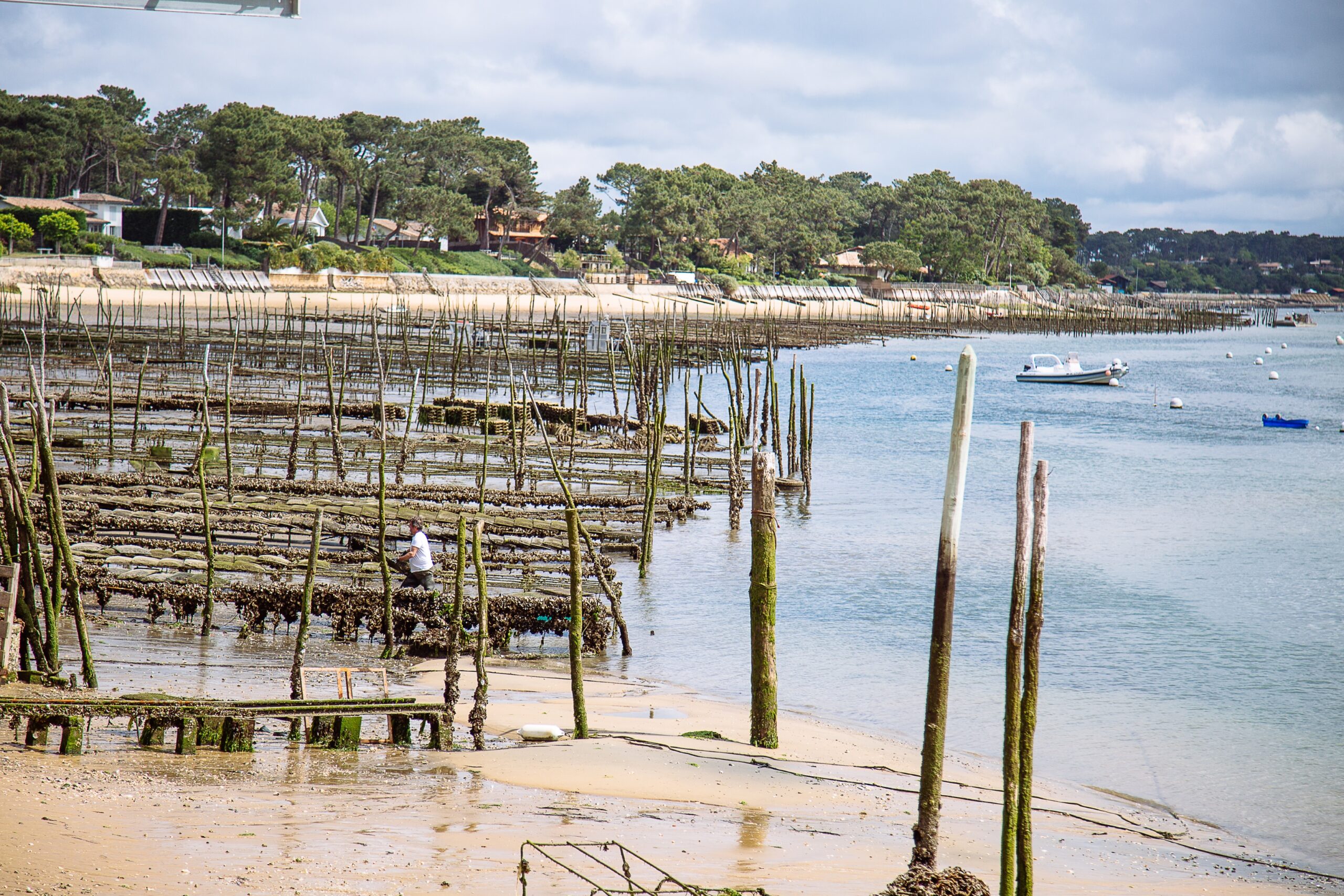 Les parcs à huîtres du Canon, un paysage typique du Bassin d'Arcachon, où tradition ostréicole et beauté naturelle se rencontrent.