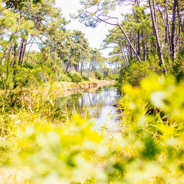 Les réservoirs de Piraillan.