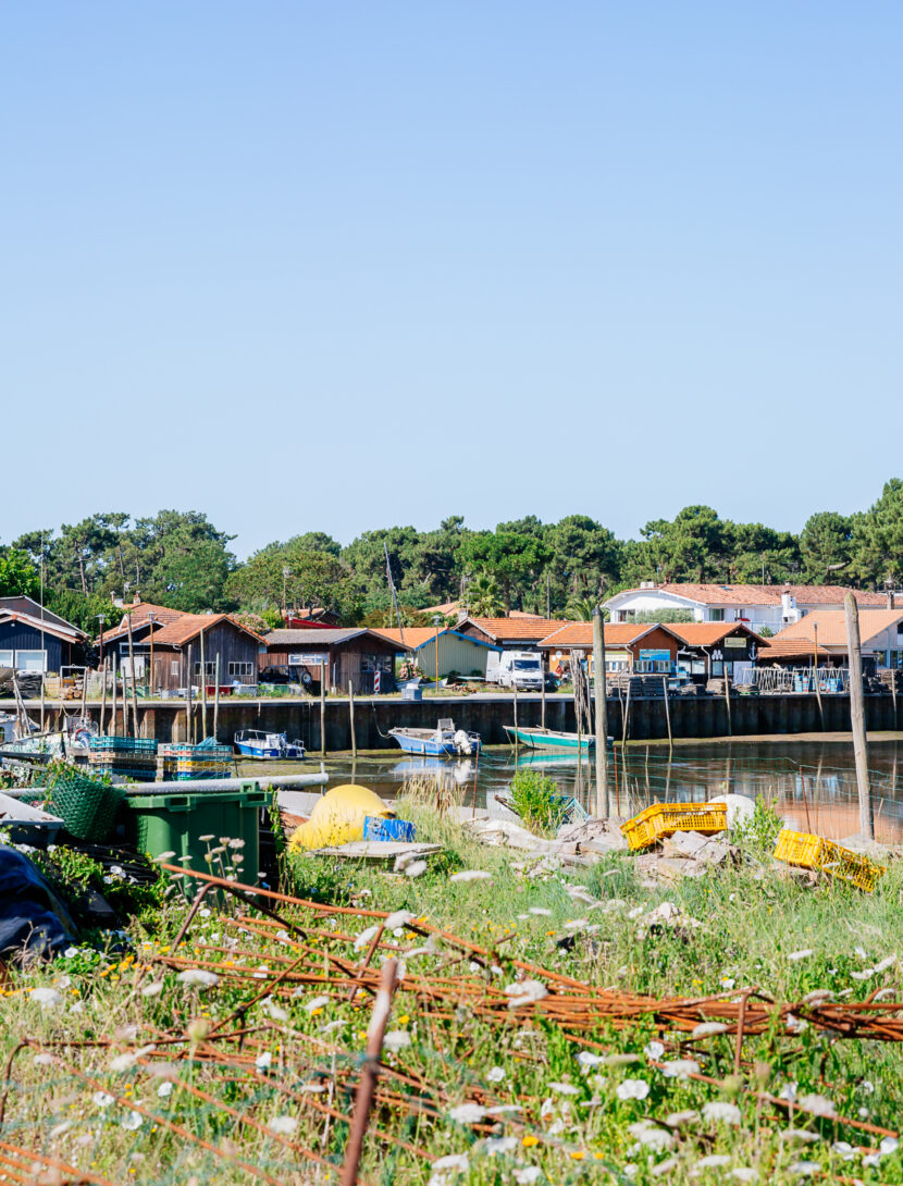 Annie Labarrère - Piraillan Une vue sur les habitations qui sont au bord du Bassin à Piraillan.