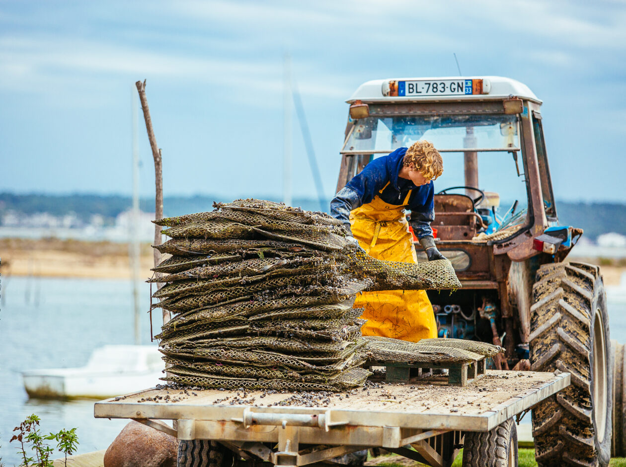 un homme sur son tracteur soulève des sacs d'huîtres, illustrant le savoir-faire ostréicole et les gestes traditionnels indispensables à la préservation de la qualité des huîtres.