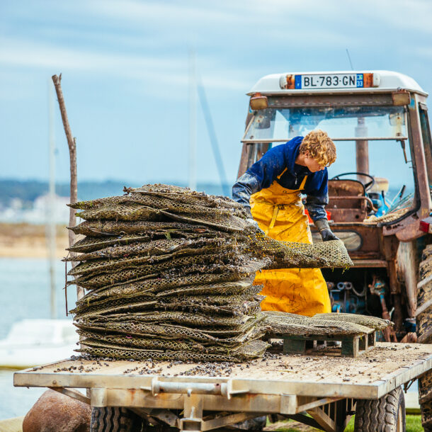 un homme sur son tracteur soulève des sacs d'huîtres, illustrant le savoir-faire ostréicole et les gestes traditionnels indispensables à la préservation de la qualité des huîtres.