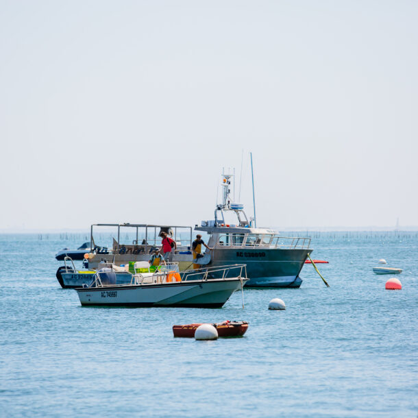 Un bateau de pêche navigue sur le Bassin.