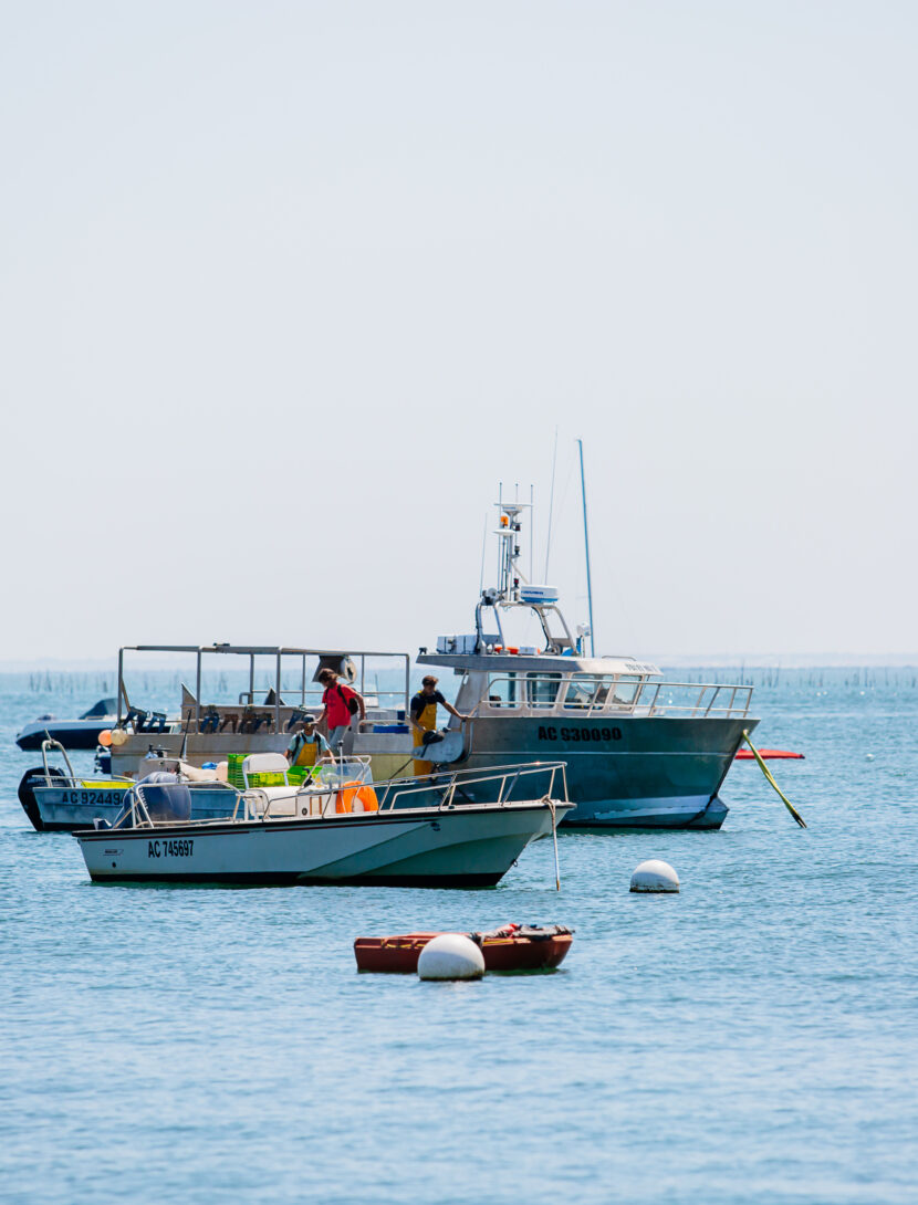 Un bateau de pêche navigue sur le Bassin.