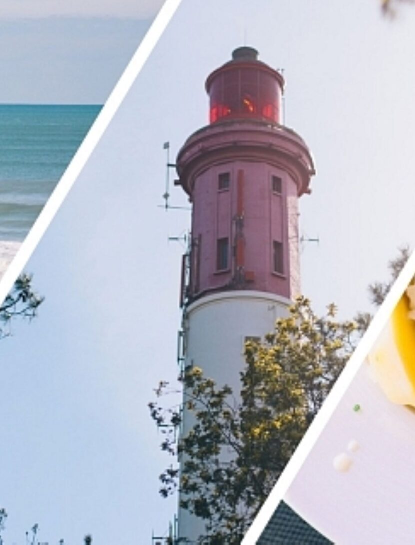 10 idées pour adorer la Presqu’île aux premiers jours du printemps !