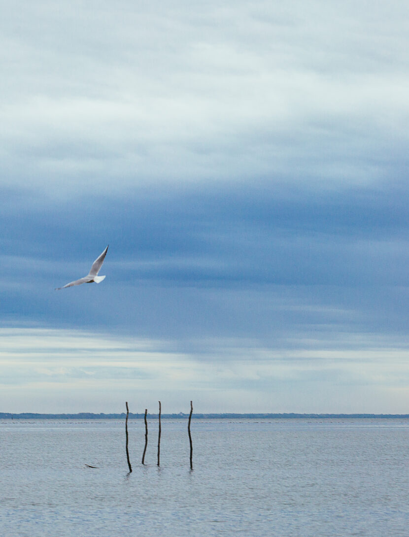 20 jolies photos d'automne à Lège-Cap Ferret