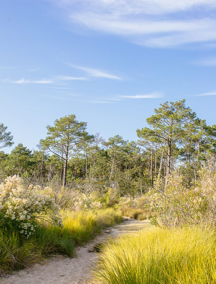 10 spots pour un footing à Lège-Cap Ferret