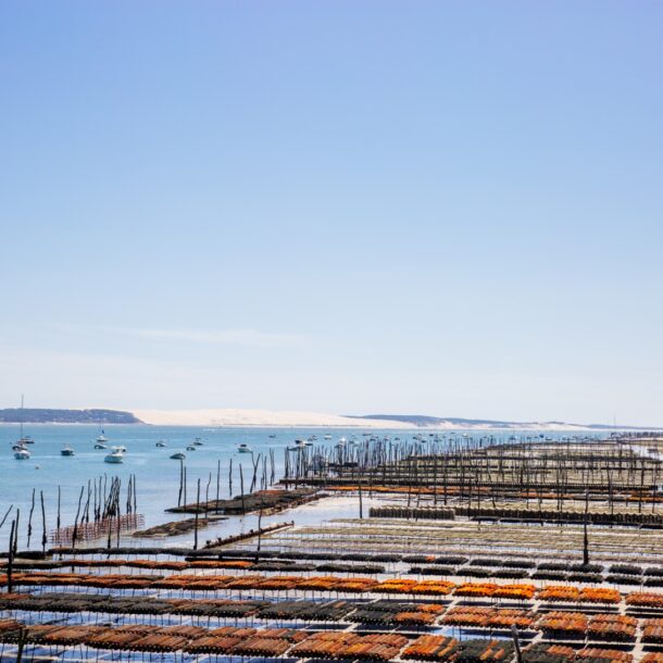 La marée impose son rythme à la vie à Lège-Cap Ferret