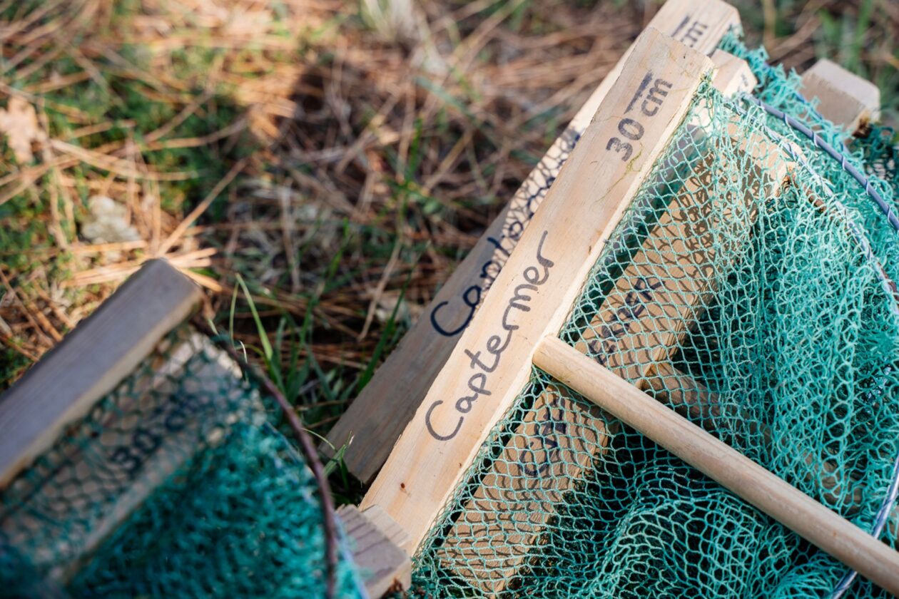 Cap Termer vous fait découvrir le monde des coquillages et crustacés à Lège-Cap Ferret !