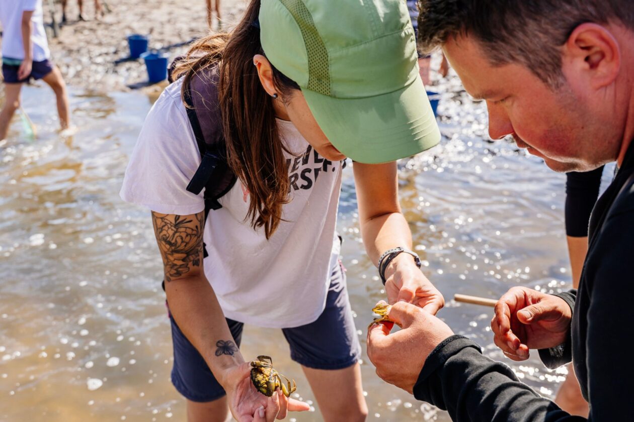Apprenez-en plus sur la faune du Bassin avec Cap Termer