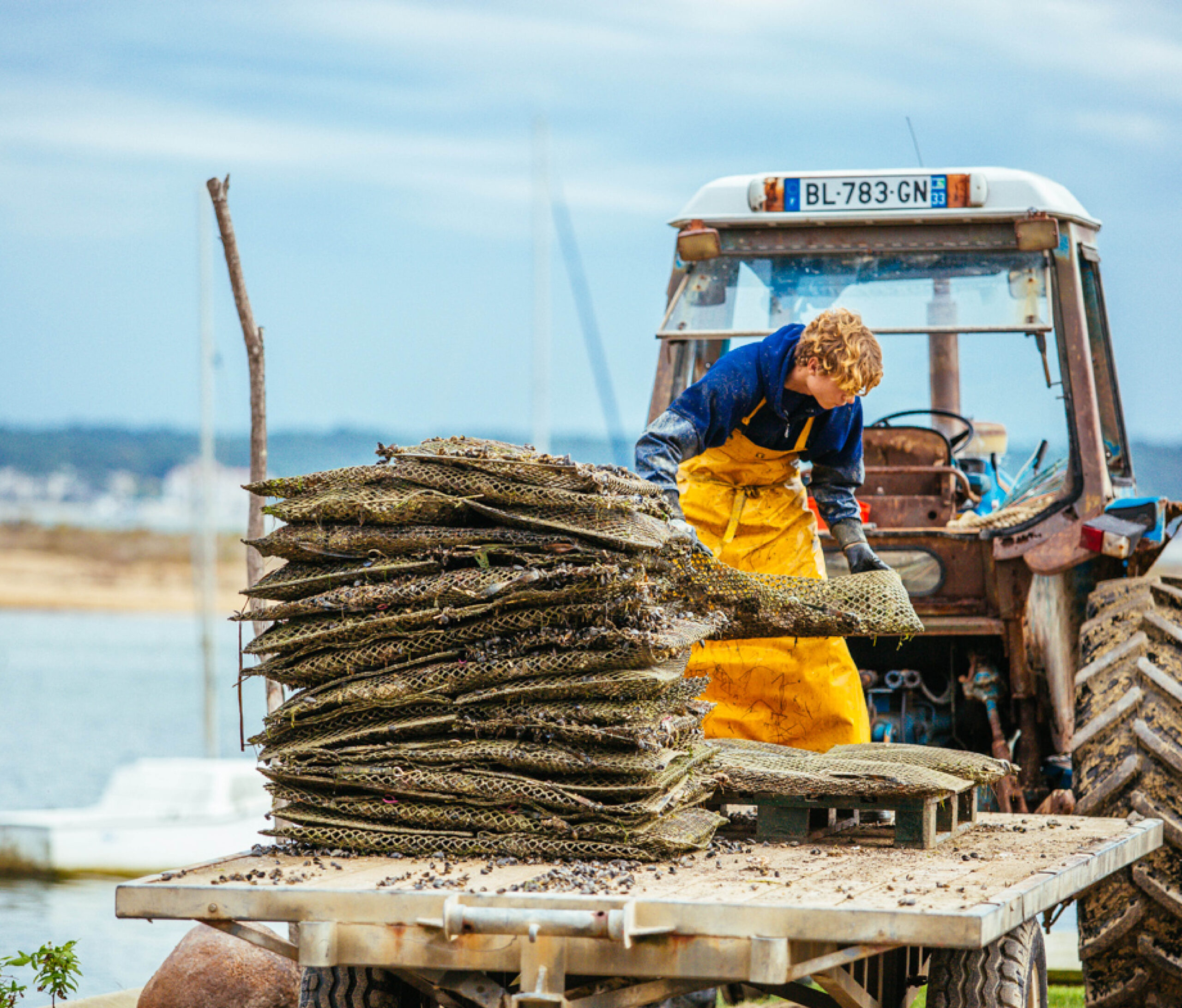 Ostréiculteur en ciré jaune manipulant des poches d’huîtres empilées sur une remorque, devant un vieux tracteur, au bord du bassin avec la côte en arrière‑plan. 