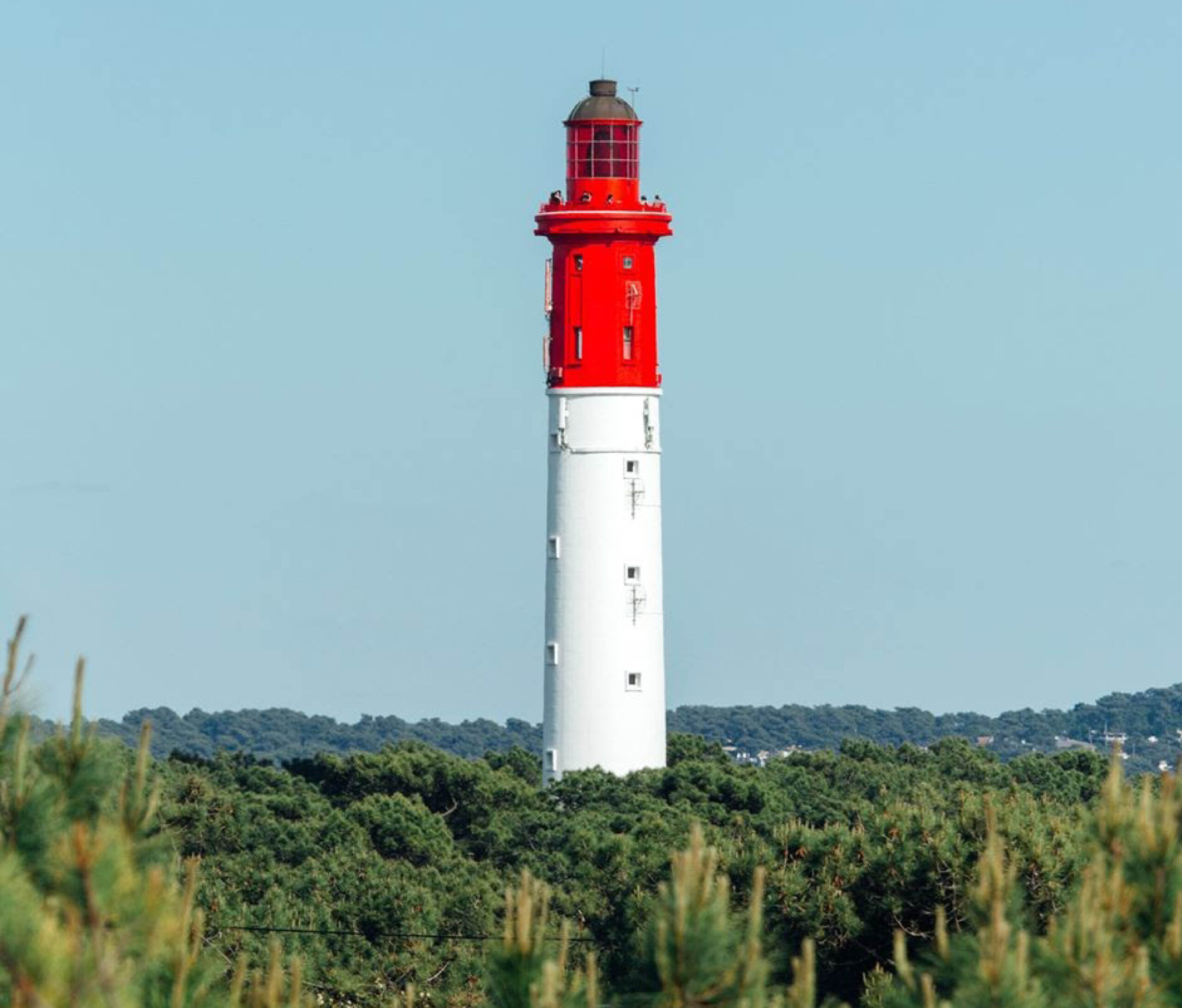  Le phare du Cap Ferret, tour blanche surmontée d’une lanterne rouge, se détache au‑dessus des pins et de la forêt, sous un ciel bleu clair.