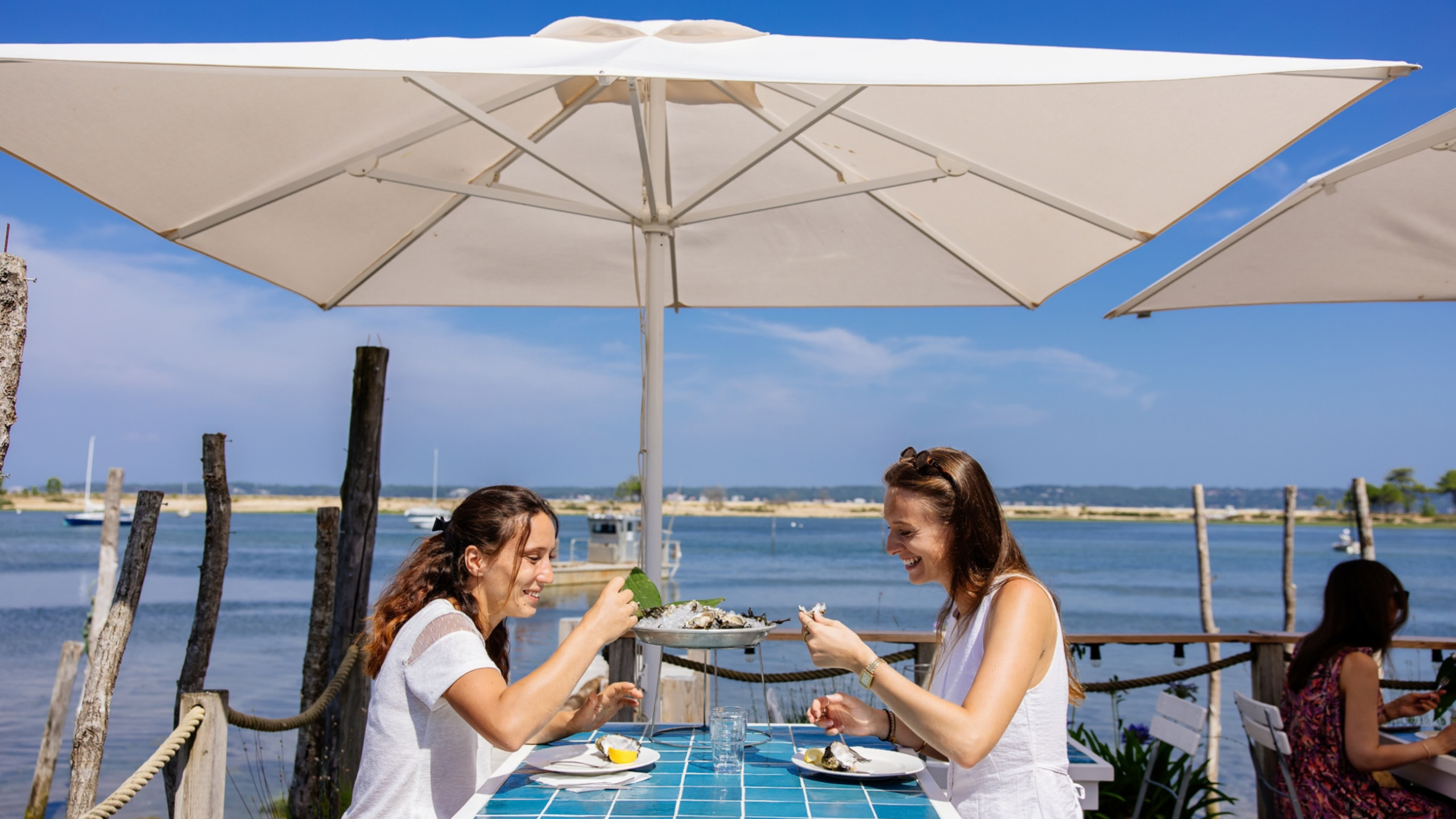 Profitez des huîtres toute l'année à Lège-Cap Ferret