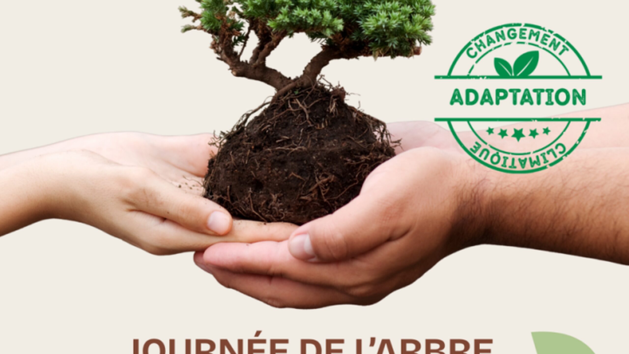 Journée de l’arbre et Village du développement durable